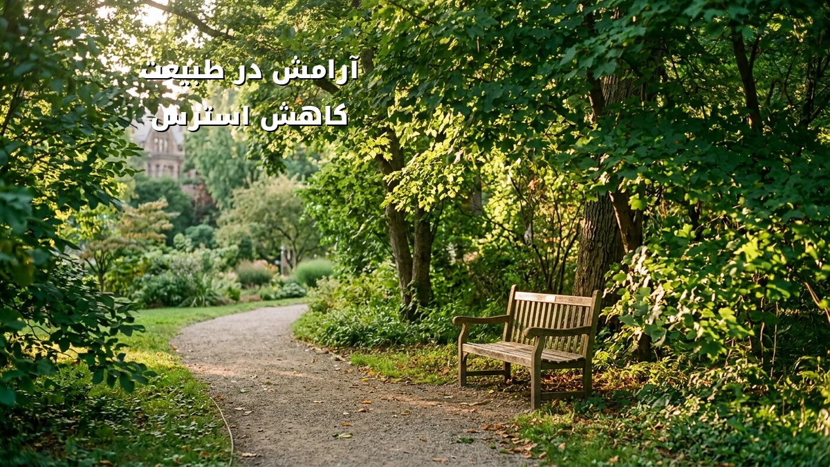 تمرینات ذهنآگاهی در طبیعت برای کاهش خستگی ذهنی